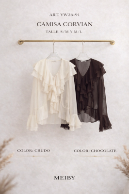 Blusa
