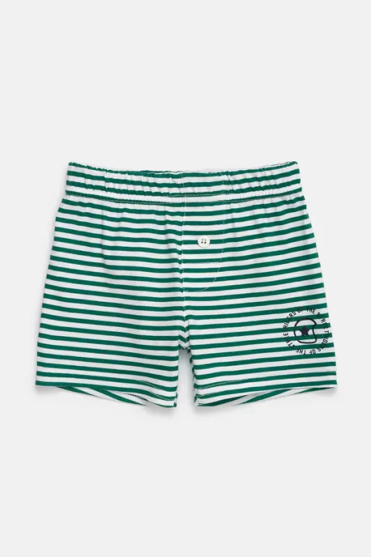 Boxer Ray Robin 3