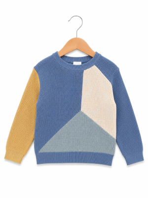 Sweater Darwin 1-2