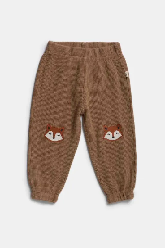 Jogging Fox 1-3