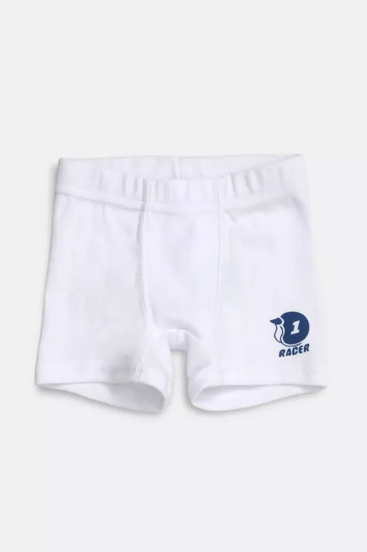 Boxer Tim 3