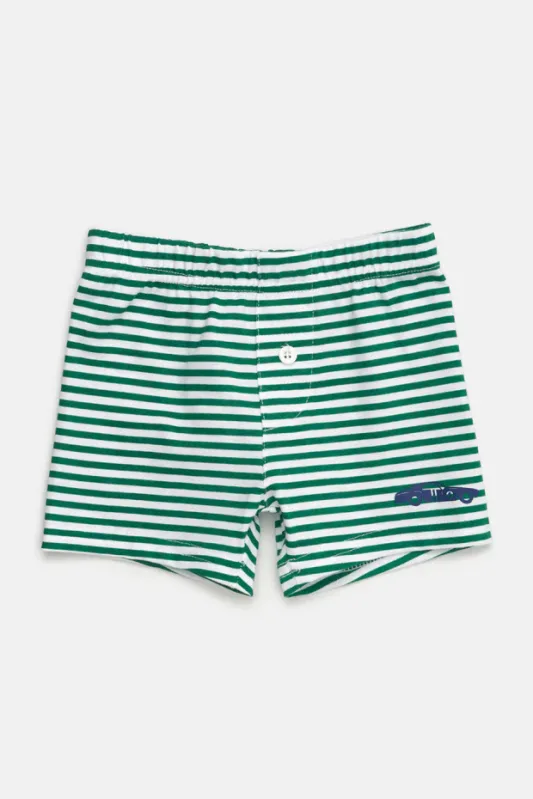 Boxer Ray Stripes 3