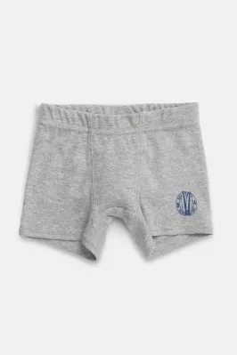 Boxer Maxi 3