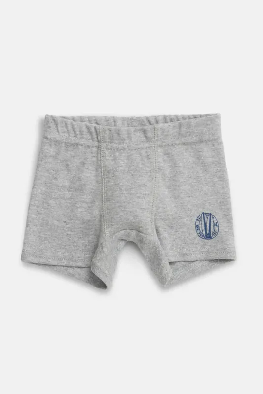 Boxer Maxi 3
