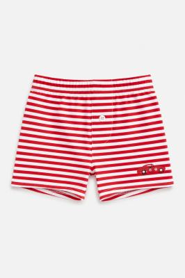 Boxer Ray Stripes 3