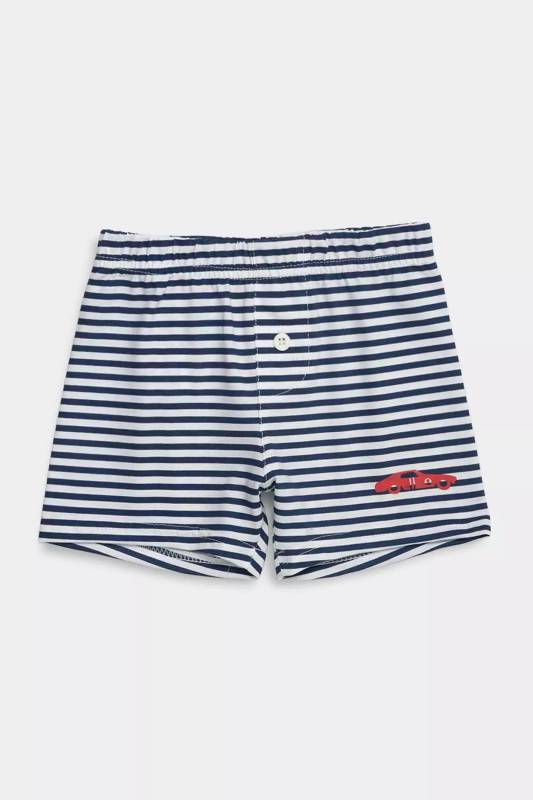 Boxer Ray Rob 3
