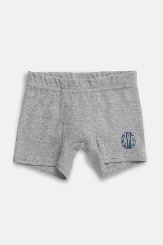 Boxer Maxi 3