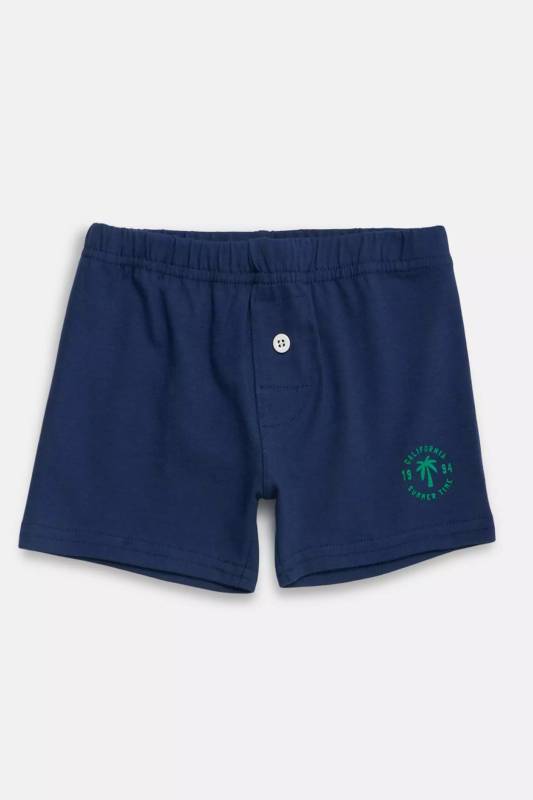 Boxer Cole 3
