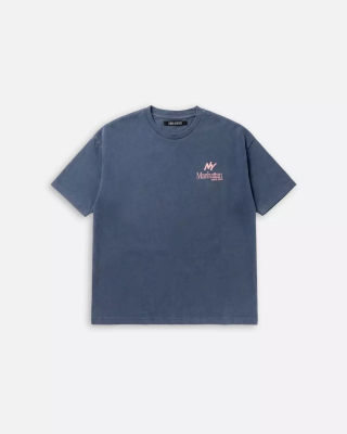 Remeron Pigment Xs